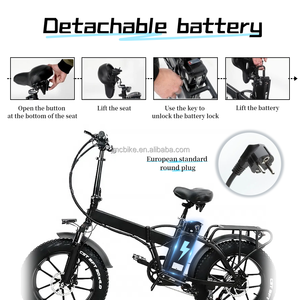 Vélo électrique Black Mountain 20 pouces gros pneu pour adultes <span class=keywords><strong>750W</strong></span> moteur 48V moyeu arrière 5 vitesses 15AH batterie au lithium système de frein à disque - Product Image 2