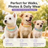 Collier pour chien en silicone personnalisé en gros avec lettres 3D, étiquette d'identification personnalisée, écologique, imperméable, anti-perte pour chiens de petite, moyenne et grande taille
