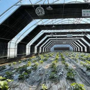 Invernadero Agrícola de un Solo Tramo, Cubierta de Lona de Gran Tamaño con Puerta y Ventilador - Product Image 5