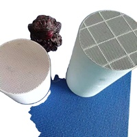 Tổ Ong Gốm Dpf Tự Động Chất Xúc Tác/Doc/Dpf/Xe Xúc Tác/Xúc Tác Chuyển Đổi