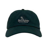 Heren Dames Geborduurde Baseballpet Japanse Stijl Casual Sporthoed All-Matching Leopard voor Studenten Sportliefhebbers