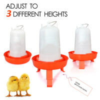 Nouvel abreuvoir pour volailles en plastique, mangeoires et abreuvoirs pour poulets de chair, élevage de poulets