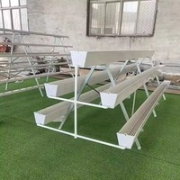 Automatisch PVC druppelirrigatiesysteem voor aardbeien, verticaal groeiende gootkas, bodemloze kweek, kanaalrek, laag.