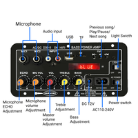D30-II Mono 25W untuk Papan Amplifier 5.0 dengan Kontrol Jarak Jauh Dual MIC untuk Aplikasi Mobil DC12V/24V