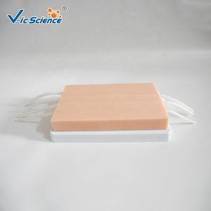 Maniquí de Ciencias Médicas, Almohadilla de Inyección, Modelo de Entrenamiento de Enfermería, Simulación de Inyección - Product Image 1