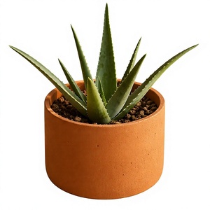 <span class=keywords><strong>Grand</strong></span> <span class=keywords><strong>pot</strong></span> de fleurs cylindrique <span class=keywords><strong>en</strong></span> <span class=keywords><strong>terre</strong></span> <span class=keywords><strong>cuite</strong></span>, <span class=keywords><strong>pot</strong></span> à fleurs <span class=keywords><strong>en</strong></span> argile naturelle pour la maison et le jardin - Product Image 2