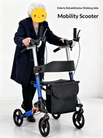 Nouveautés 2026 Déambulateur Rollator pour personnes âgées avec chariot de courses en acier léger et portable Guangdong