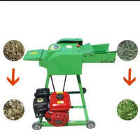 Petite machine à couper les paillettes multifonctionnelle Mini broyeur de gazon électrique 220V Nouveau pour tondeuse à gazon Paille de maïs Hachoir à fourrage