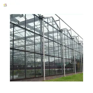 锯齿型温室玻璃玻璃屋顶温室