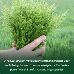 Premio organico equiseto naturale rimedio a base di erbe per la crescita dei capelli e la salute delle ossa - Product Image 3