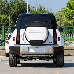 Pedido superior para Ly over, más del 2020 - Product Image 4