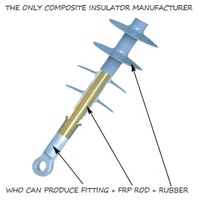 Isolateur de tension personnalisé à longue tige Isolateur de suspension en silicone haute tension 66KV