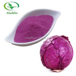 Ekstrak tanaman murni 100% kualitas tinggi ODM/OEM 5% ekstrak bubuk kubis merah 10:1 Anthocyanin - Product Image 2