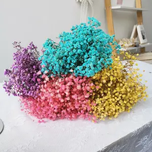 Bán buôn bé hơi thở bảo quản Gypsophila hoa tất cả các màu sắc khô bé hơi thở