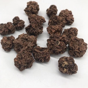 YHC09 Chong ying guo Atacado a granel Frutas secas Actinidia polygama Matatabi Silvervine Fruit inseto fel para mastigar gato - Product Image 3