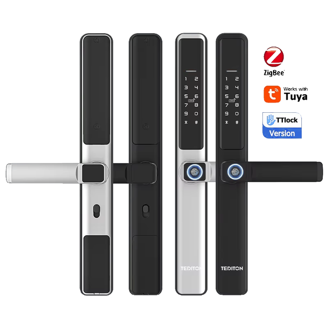 Tediton Technology Low Price Bolt Hook Handle Lock Upvc Patio Aluminum Glass Window Door Smart Wireless Lock for Sliding Gate
