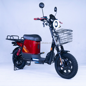 DISIYUAN Vente en gros Moto <span class=keywords><strong>cargo</strong></span> électrique 16 pouces 48V/60V 1000W pour livraison commerciale, style vélo électrique - Product Image 4