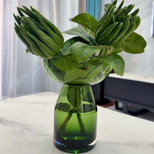 แจกันแก้วขัดเงาทำด้วยมือล้วนสำหรับ<span class=keywords><strong>ปลูก</strong></span>มะกรูดน้ำมะกรูด E18<span class=keywords><strong>ปลูก</strong></span>พืชไร้ดิน - Product Image 2