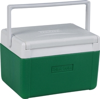 Glacière isotherme 5L en PE pour aliments, bière, camping, sport, voyage, transport de vaccins non médicaux