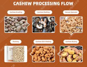 Ligne de production de noix de cajou entièrement automatique, machine de transformation des noix de cajou brutes <span class=keywords><strong>Kajo</strong></span> - Product Image 6