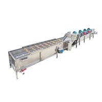 CCD Kleurselectie Fruit- en Groente Reinigings- en Sorteermachine voor het sorteren op maat en kleur van Cherry Tomaten en Paprika's