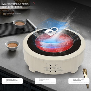 Cocina de Inducción Portátil Eléctrica Prestige de 500W, 2 Quemadores, 220V, Panel de Hierro Fundido, Calentamiento Rápido, Uso en Hoteles, Clase 24 - Product Image 3
