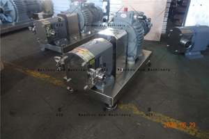 Bomba de Lóbulos Rotatorios de Acero Inoxidable de Grado Alimenticio para Transferencia de Líquidos de Alta Viscosidad - Product Image 2