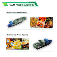 Presse à huile de palmiste en acier inoxydable 304 à deux étages 10-12T/J, machine de production d'huile de palmiste, machine d'extraction d'huile de palmiste