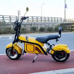 Electric Scooter European Warehouse Hot Selling Design For Wholesale And Retail With 12 Inch Tire 1500W Electric Scooters