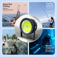 Ventes Flash : Lampes de Pêche LED Haute Qualité 300W 500W IP66 Vert Cyan pour Attirer Calamar et Thon depuis Bateau