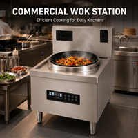 Cuisinière à riz électrique professionnelle en céramique avec panneau tactile, cuiseur vapeur et chauffe-plats pour cuisine de restaurant