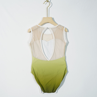 Vente en gros de vêtements d'entraînement de danse ombrée de haute qualité pour jolies femmes justaucorps de ballet