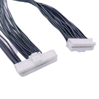 Maßgefertigte JST Dupont Hirose Molex FC 1.0 1.25 1.5 2.0 2.5mm Abstand 2/3/4/5/6/7/8/10 Steckverbinder Kabelbaum Kabelkonfektion