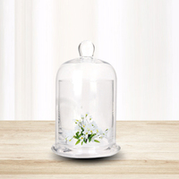Couvercle d'aromathérapie couvercle de cloche dorée pot de bougie en verre tasse de diffuseur de pierre de cristal d'aromathérapie
