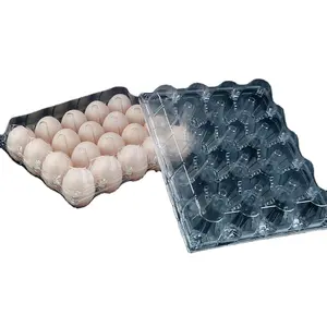 Hot Sale Qatar Egg Tray Machine Packer