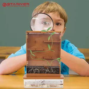 DIY玩具套装科学系列生长植物科学实验儿童物理玩具