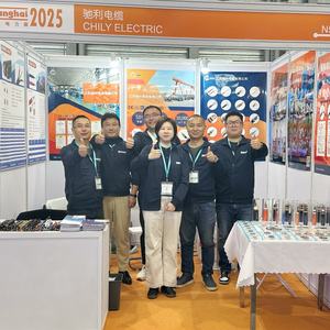 Câble PV H1Z2Z2-K 2,5 mm 4 mm à âme torsadée ronde XLPO LSZH en cuivre étamé résistant aux UV pour le câblage de stations solaires commerciales sur toiture - Product Image 5