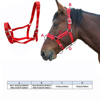 ZJFIT Collier de dressage réglable en nylon pour cheval, équipement équestre, fournitures d'écurie, taille L, origine Sichuan
