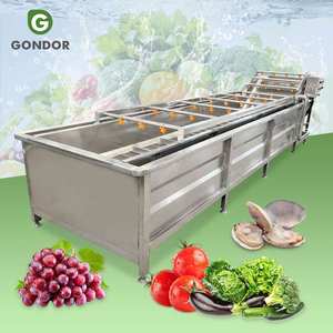 Laveuse professionnelle à ozone pour légumes et fruits avec convoyeur, pour la lavage des laitues, du céleri et des fraises - Product Image 1