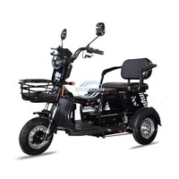 Tricycle électrique moderne à double usage pour le transport urbain