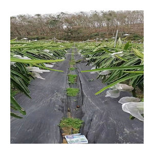 Polietilene Farm utilizzare pesante tessuto Non tessuto trama e plastica in erba opacizzante tappeto di controllo per alberi - Product Image 1