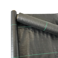 Toile de paillage professionnelle en PP tissé 70 g/m² pour l'agriculture, les vergers et les projets de jardinage