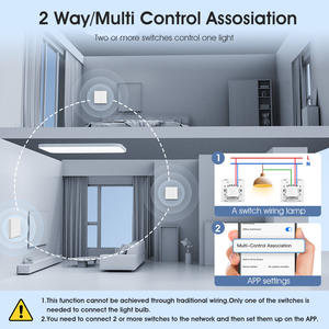 Interrupteur mural intelligent Graffiti 10A 2.4GHz RF433 Wi-Fi avec commande vocale par application, minuterie, norme européenne EU, bouton poussoir - Product Image 3