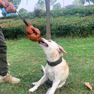 Kinghon - Pelota de tela resistente a desgarros para entrenamiento de perros Malinois, 3 colores, juguete navideño para perros, similar a un mordedor para perros - Product Image 2