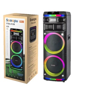 OEM Özel Çift 12 İnç Taşınabilir Kablosuz Hoparlör Sistemi, 2 Kablosuz Mikrofonlu ve Şarj Edilebilir Pilli 5.1 Surround Ses Kutusu - Product Image 3