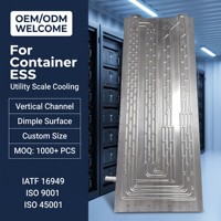 Plaque de refroidissement liquide en aluminium soufflé ultra-mince de 2,1 mm, légère, pour pack de batteries BESS, thermique, OEM