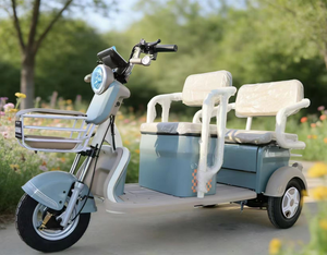 Scooter Eléctrico Personalizado con Neumático al Vacío, Scooter de Movilidad de 3 Velocidades con Motor Central, Marco de Acero, 3 Ruedas - Product Image 2