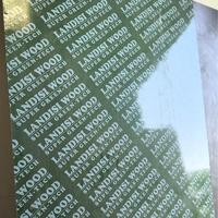 Spécifications complètes, contreplaqué durable de première qualité, moderne, résistant à l'eau, recouvert de polypropylène, film plastique vert