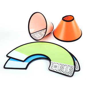 친환경 플라스틱 솔리드 간단한 스타일 개 산책 가죽 끈 세트 고양이 개 <span class=keywords><strong>PVC</strong></span> 엘리자베스 칼라 레이스 장식 버클 클로저 - Product Image 2