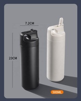 Beauchy Mugs de voyage japonais Bouteille d'eau de sport de haute qualité 550ml Flacons sous vide à double paroi Tasse à café avec couvercle en paille